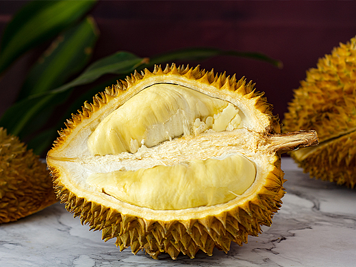 金枕榴莲