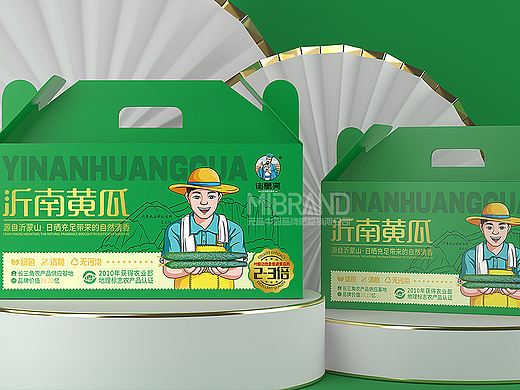 沂南黄瓜~特产品牌策划