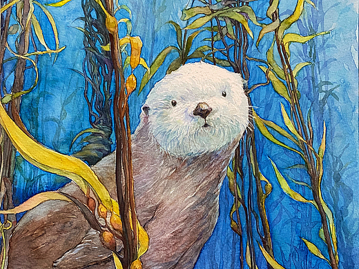 濒危动物系列水彩插画——海獭