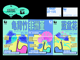 盆栽植物品牌设计 S.PLANT