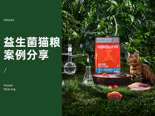 益生菌猫粮—视觉全案分享