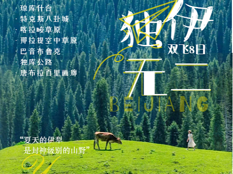 新疆旅游海报系列广告小包团