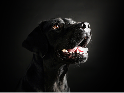 心中有爱眼里有光