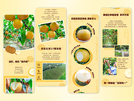 水果案例&创意长图设计二