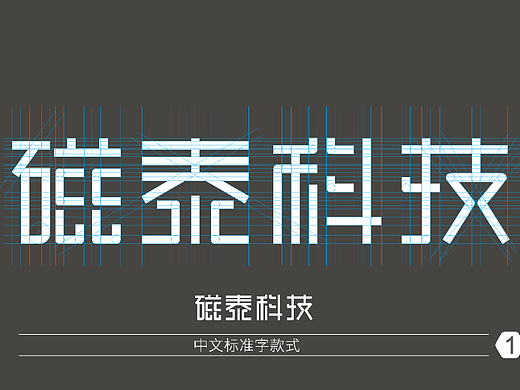 磁泰科技VIS提案