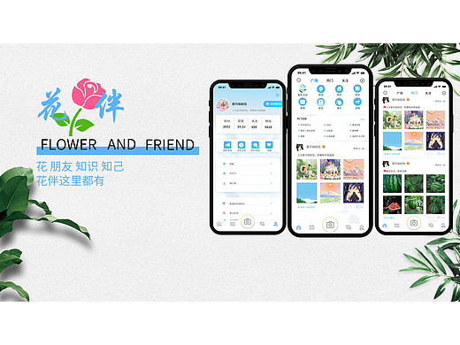 花伴-APP