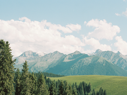 遗落在六月的新疆