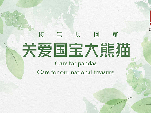 关爱国宝大熊猫
