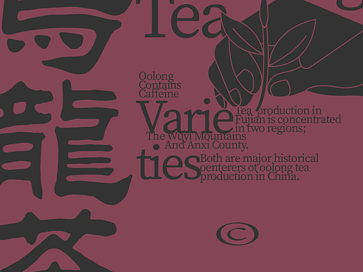 第一天 乌龙茶