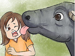 搞笑动物插画合集