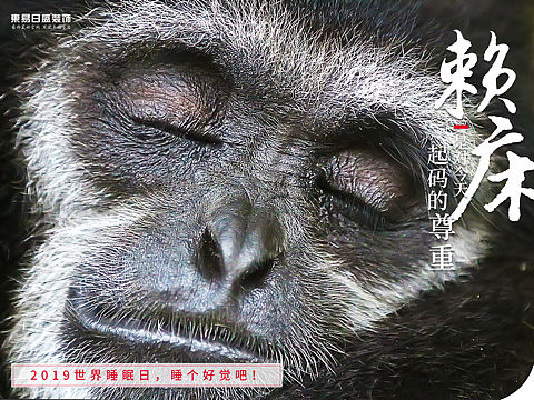 世界睡眠日