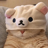 未囿的头像