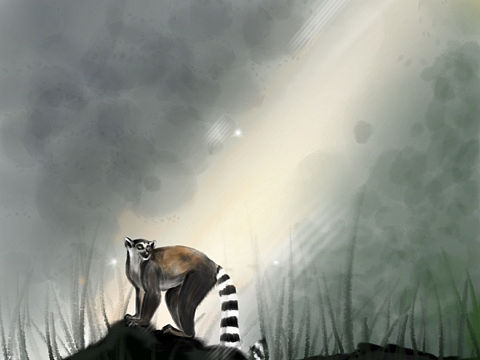 #环尾狐猴#（个人主页-ZNTA2OTI3ODQ=） - 绘本 - 站酷设计师可乐百合原创素材 - 站酷ZCOOL