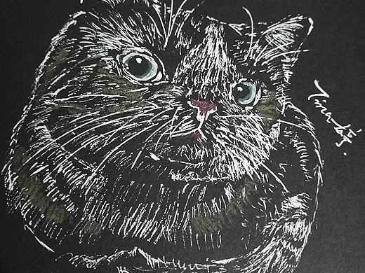 小猫咪能有什么坏心思呢？
