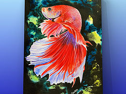 水彩·魚(yú)