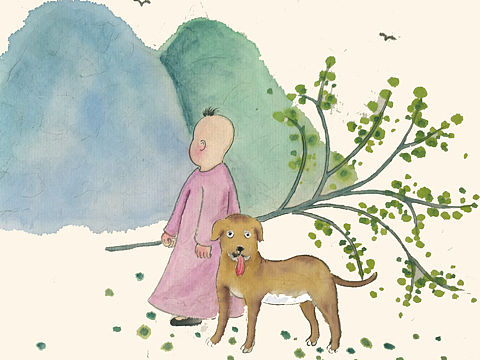《如果岁月可回头》