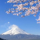 旧流年的头像