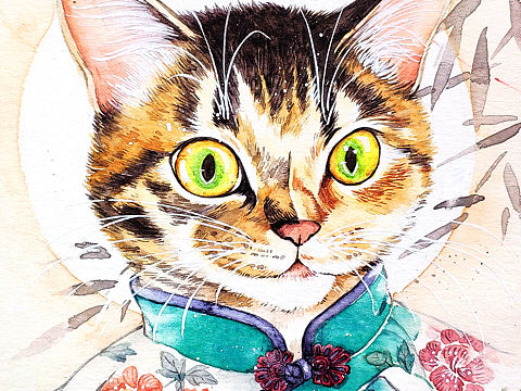 嘿，都是喵呀！梨花闺秀