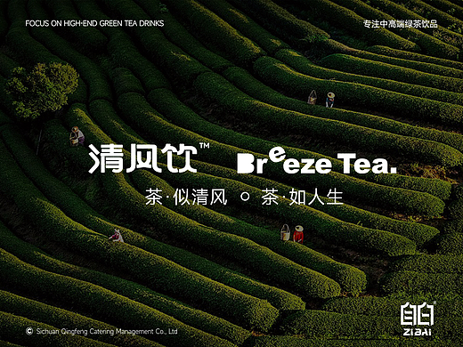 品牌设计 | 清风饮中高端绿茶饮品品牌设计