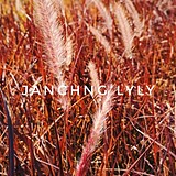 JanChngLyly的头像