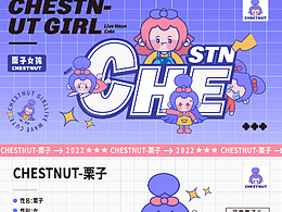 ip包装设计全案