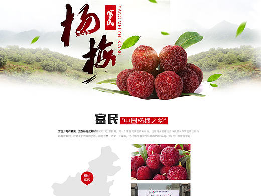 杨梅专题
