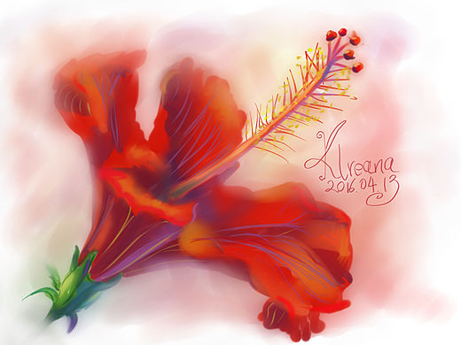 扶桑花（个人主页-ZMTYwMTAxNTY=） - 创作习作 - 站酷设计师可琳娜Klreana原创素材 - 站酷ZCOOL