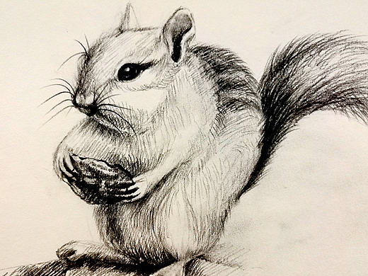 无聊时拿起铅笔画画