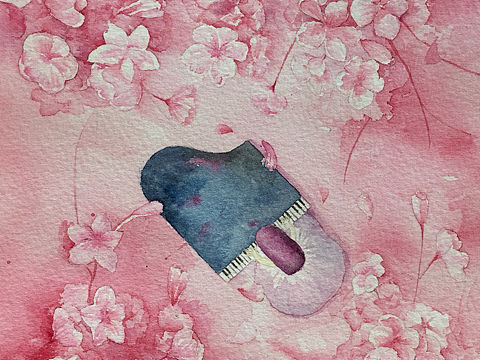 钢琴与樱花