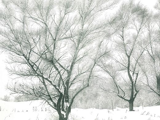《姿态》钢笔画