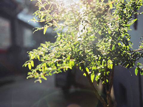 上海多伦路文化街（个人主页-ZMjI5NDk2NDQ=） - 人文/纪实摄影 - 站酷设计师沈玉东原创素材 - 站酷ZCOOL