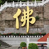 风暴1911的头像