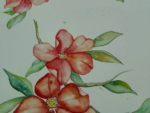杜鹃花开～