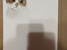 臨摹的貓貓