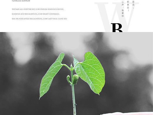 海报设计书籍封面设计（个人主页-ZNTIzODU3NzI=） - 书籍/画册 - 站酷设计师辞九儿原创素材 - 站酷ZCOOL
