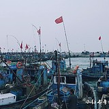 凉阎的头像