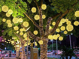 草坪-树木-亮化