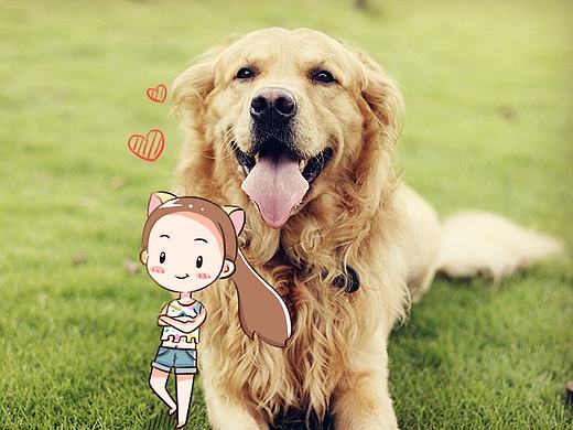 金大傻——啊呜