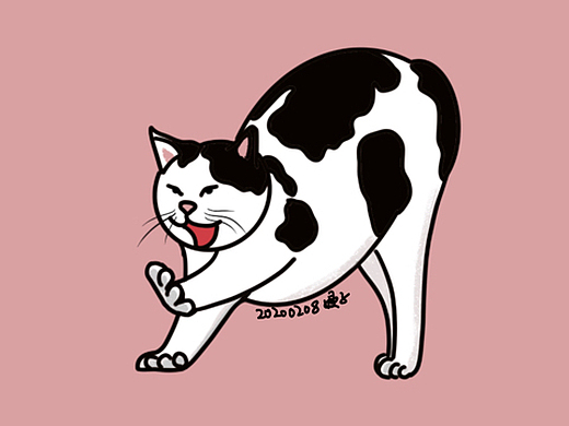 伸懒腰的猫(1)