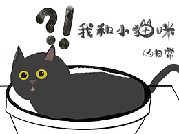 我和小猫咪的日常