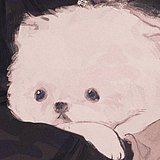 被里Liiiiii_的头像