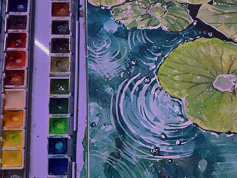 【听荷】水彩手绘