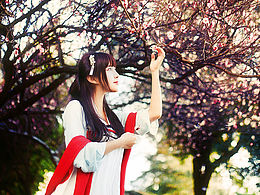 一株梅花,一抹红颜