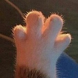 爱米粒儿儿的头像