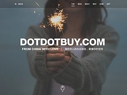 Dotdotbuy 新手落地页