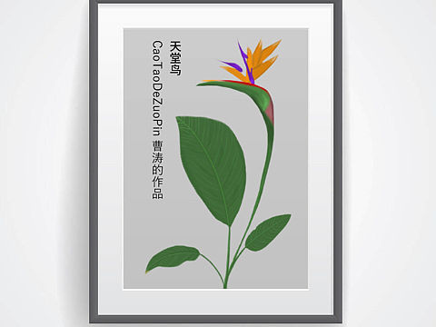 植物系列商业插画