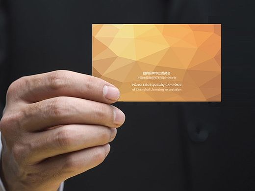 [PLSC]VI設(shè)計(jì)（部分）（個(gè)人主頁-ZMTE5MTEyODA=） - 品牌 - 站酷設(shè)計(jì)師sadiemao原創(chuàng)素材 - 站酷ZCOOL