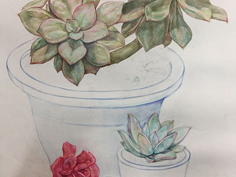 我要吃土了……