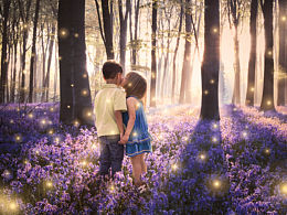 【海報設計】螢火蟲與森林【練習作】