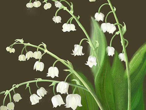 铃兰（个人主页-ZNTQyNTQ0MzI=） - 创作习作 - 站酷设计师咔噜咔噜cl原创素材 - 站酷ZCOOL